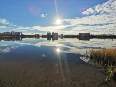 Радиационная обстановка остается в норме Радиационная обстановка остается в норме