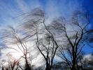 В Югре ожидается усиление ветра