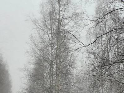 Внимание: ожидается мокрый снег и сильный ветер 