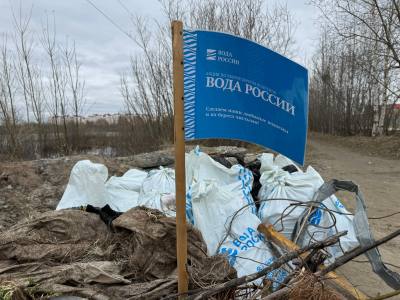 Всероссийская акция "Вода России"