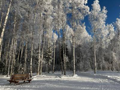Экотропа объединит специалистов со всей Югры /ФОТО/ Экотропа объединит специалистов со всей Югры /ФОТО/