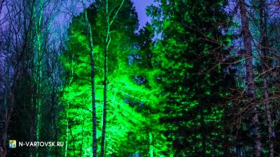 Нижневартовск присоединился к всероссийской экологической акции