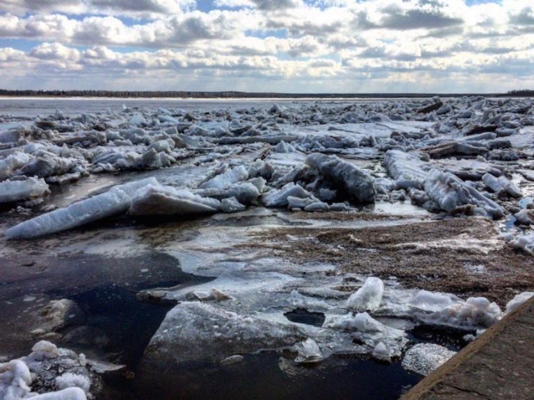 Где вскрылась река. Лед на реке Обь. Шуга на реке Обь. Вскрытие льда на реке. Река вскрылась.