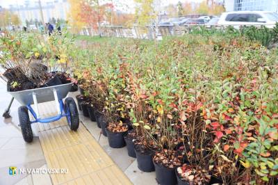 Благоустройство набережной: готовится к открытию новый участок Благоустройство набережной: готовится к открытию новый участок