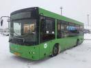 В Нижневартовске на маршруты выходят новые автобусы /ФОТО/  
