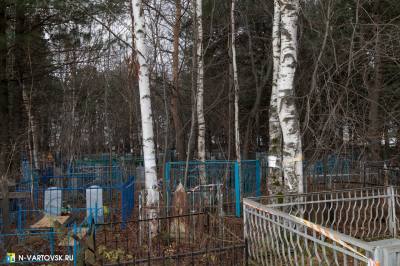 Поиск мест захоронения ветеранов Великой Отечественной войны Поиск мест захоронения ветеранов Великой Отечественной войны