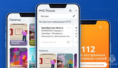 Электронные помощники в вопросах безопасности