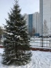 Нижневартовск – лучший город зимы