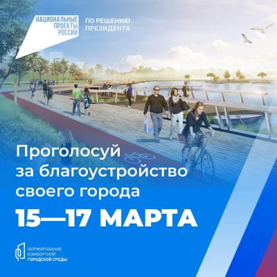 15-17 марта вартовчане могут выбрать объект  благоустройства в пунктах голосования /ИНФОГРАФИКА/