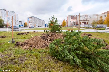 Фотография 13
