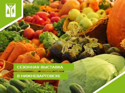 Выставка сельхозпродукции приглашает Выставка сельхозпродукции приглашает