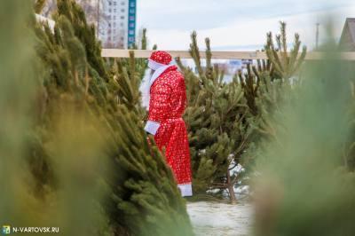 В Нижневартовске откроются елочные базары В Нижневартовске откроются елочные базары