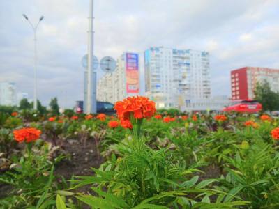 На улицах города высаживают цветы /ФОТО/ На улицах города высаживают цветы /ФОТО/