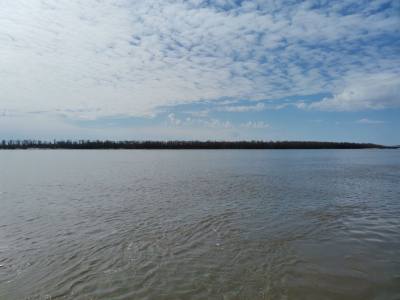 УРОВЕНЬ ВОДЫ В РЕКЕ ОБИ НА 31 МАЯ