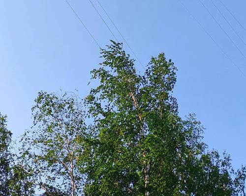 Новости:  Внимание: опасные явления 
