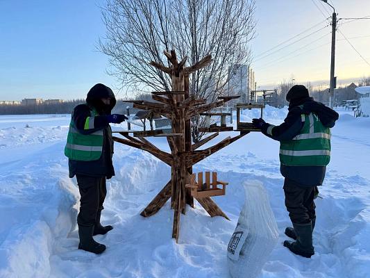 Новости:  В Нижневартовске оборудуют места для кормления птиц 