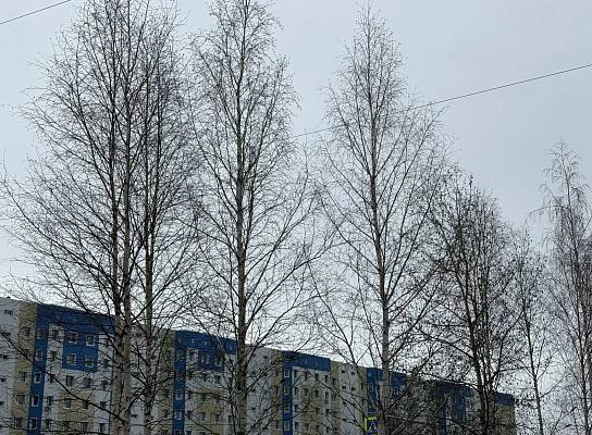 Новость дня: Внимание: неблагоприятные погодные явления