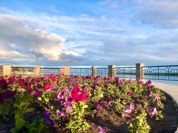 Извещение о возможности внесения Инициативных проектов в администрацию города на 2026 год