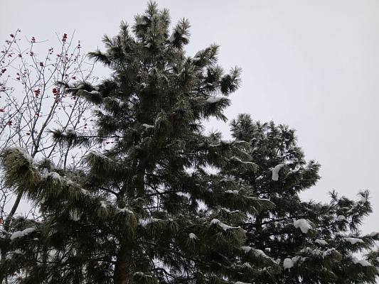 Новости:  Предупреждение о наступлении неблагоприятных явлений погоды 