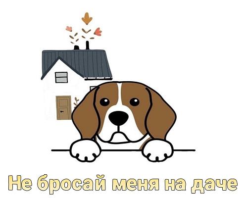 Новости:  Забота вне сезона 