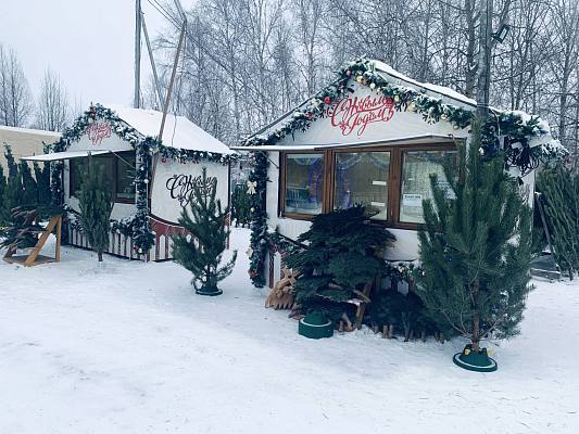 Новости:  В Нижневартовске открываются елочные базары 
