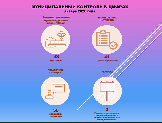 Новости:  На муниципальном контроле 