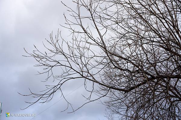 Новости:  Внимание: неблагоприятные погодные явления 