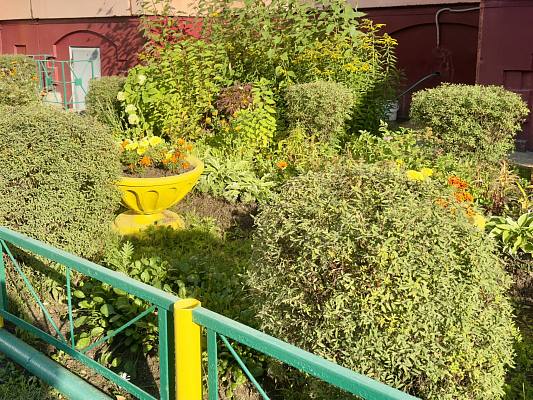 Новости:  «Зеленый Нижневартовск»: итоги конкурса 