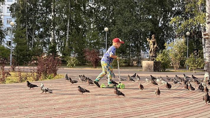 Новости:  Научите ребенка безопасности 