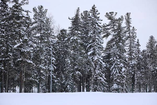 Новости:  Внимание: ожидаются опасные явления погоды 