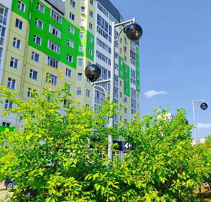 Новости:  Нашествие мошки энтомологи связывают с установившимся теплом 