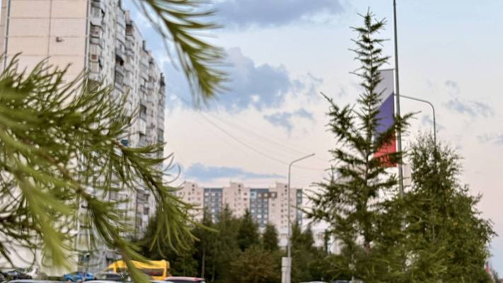 Новости:  Трудоустройство отдельных категорий граждан 