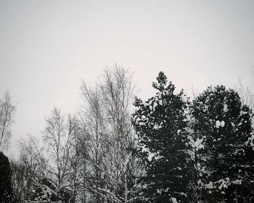 Новости:  Внимание: опасные явления погоды 