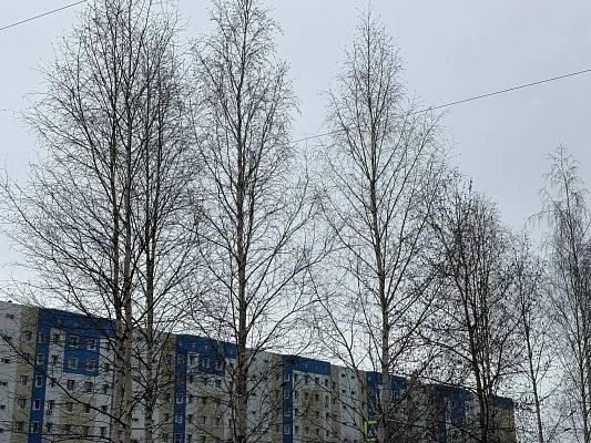 Новости:  Внимание: опасные явления погоды 