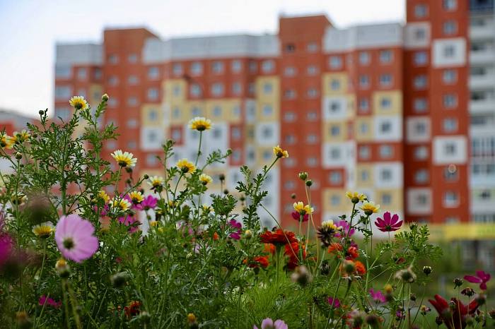 Информационное сообщение о внесенных в администрацию города инициативных проектах