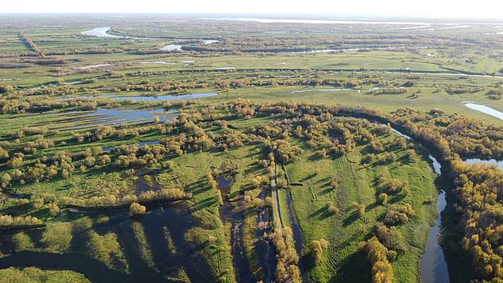 Новости:  Географический диктант-2025 