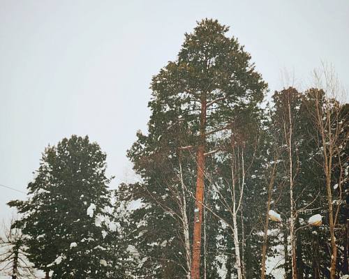 Новости:  Ожидается аномально холодная погода 