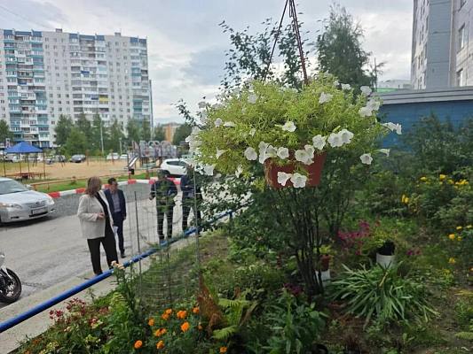 Новости:  «Зеленый Нижневартовск»: от придомовой территории до цветника 