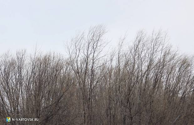 Новости:  Опасные погодные явления 